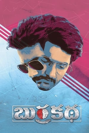 Burrakatha 2019 Hindi Dubbed 480p HDRip 300MB - Movierulz